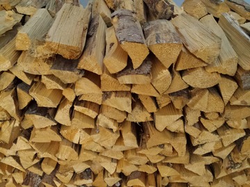 suche: Suche Brennholz