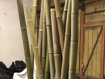 verkaufe:  Bambusrohre -Dekoelemente und Raumteiler
