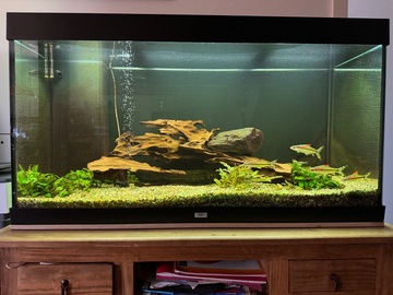 vendo: 350 Liter Aquarium