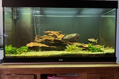verkaufe: 350 Liter Aquarium