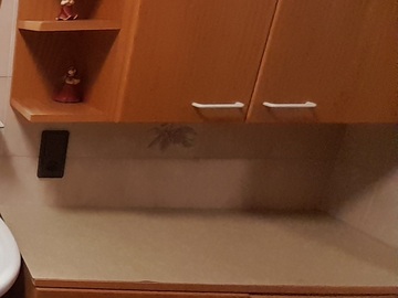 verschenke: Badmöbel vom Tischler angefertigt