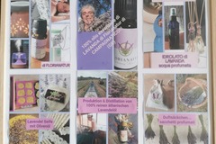 vendo: Ätherisches Lavendelöl    